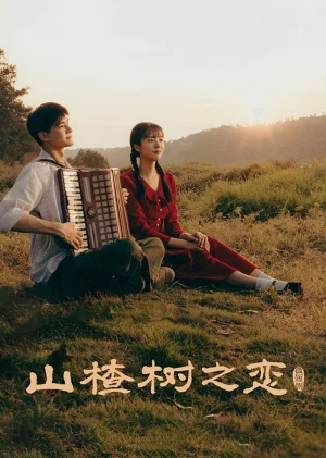 山楂树之恋海报