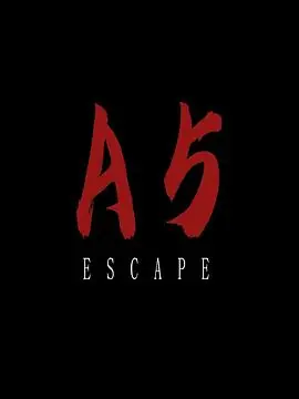 A5海报
