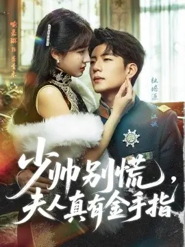 少帅别慌,夫人真有金手指海报