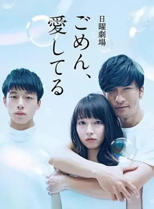 对不起,我爱你海报