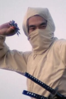 重述纽约忍者海报