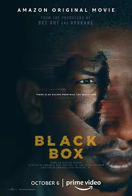 黑盒子BlackBox海报