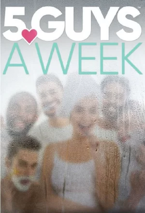 同居相亲大作战(美版)第一季海报