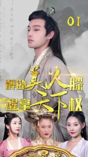 醉卧美人膝,醒掌天下权海报