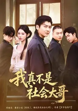 我真不是社会大哥海报
