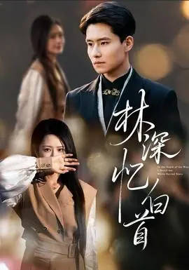 林深忆白首海报