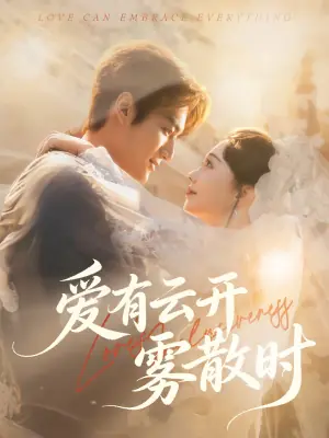 爱有云开雾散时海报