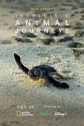 生灵奇旅中配版海报