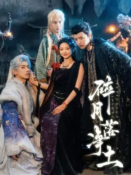 碎月落净土海报