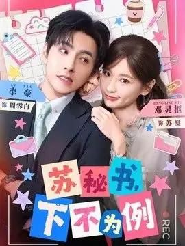 苏秘书,下不为例海报