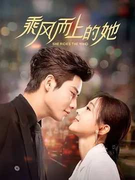 迫降在我心海报