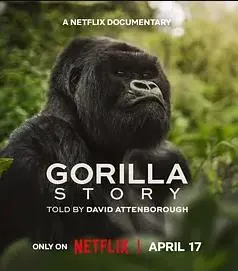 大卫&middot;艾登堡:大猩猩的故事海报