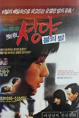 圣夜성야海报