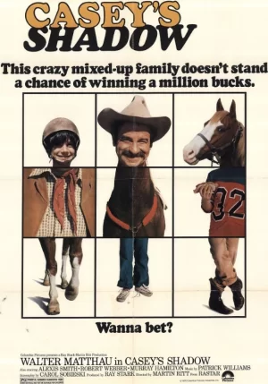 骏马落难记海报