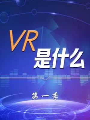 VR是什么第一季海报