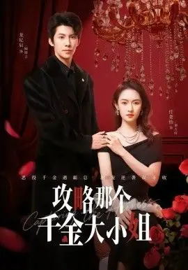攻略那个千金大小姐海报