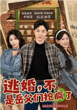 逃婚,不,是岳父们抢疯了海报