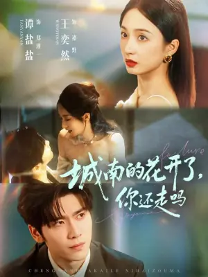 城南的花开了,你还走吗海报
