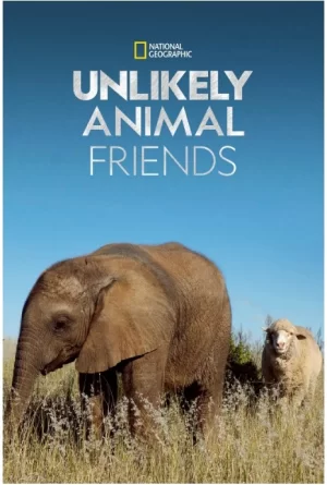 不可思议的好朋友第三季海报