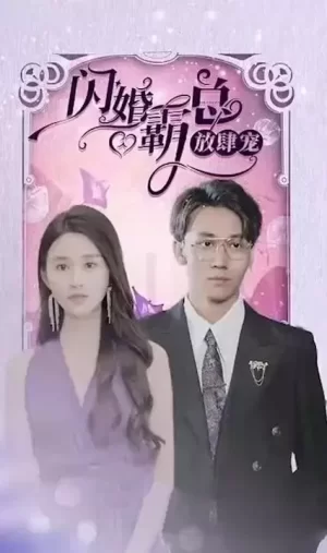 闪婚霸总放肆宠海报