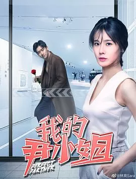 我的尹小姐海报