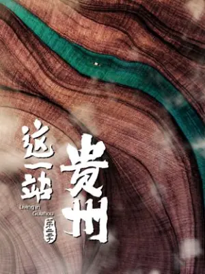 这一站,贵州第二季海报