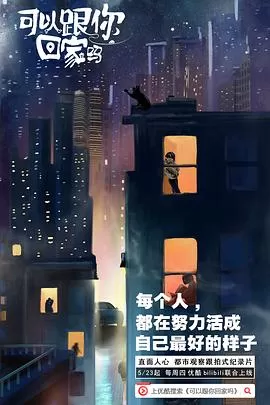 可以跟你回家吗海报