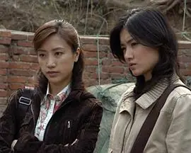 我的刑警朋友海报