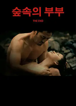 森林里的夫妻海报