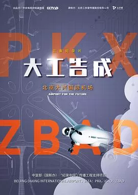 大工告成--北京大兴国际机场海报