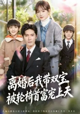 离婚后我带双宝被轮椅首富宠上天海报