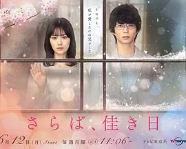 再见,美好时光海报