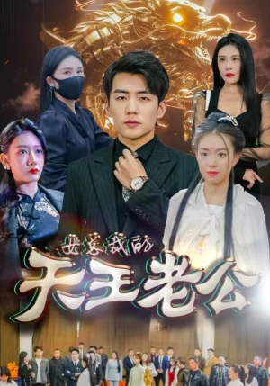 女总裁的天王老公海报