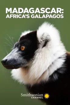 马达加斯加:非洲的加拉帕戈斯群岛海报