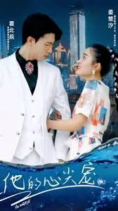 他的心尖宠海报