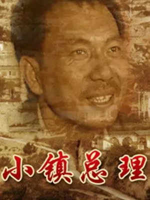小镇总理海报