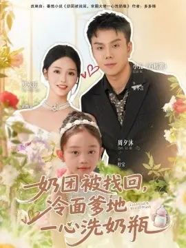 奶团被找回,冷面爹地一心洗奶瓶海报