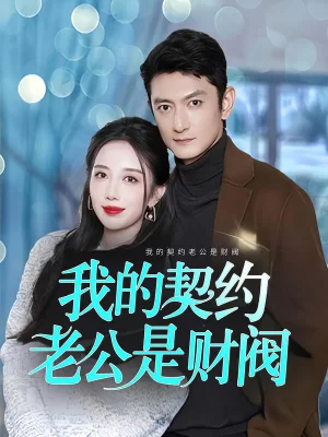 我的契约老公是财阀海报