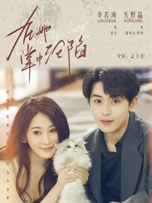 在她掌中沦陷海报