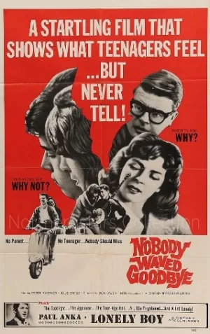 没有挥手告别海报