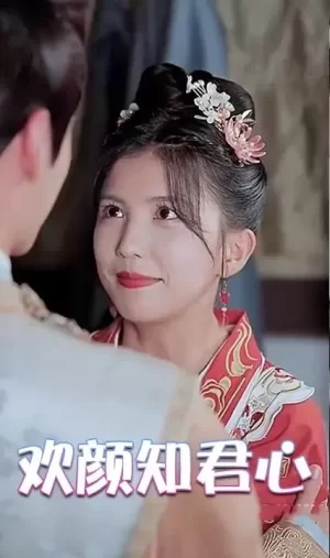 欢颜知君心海报