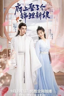府上娶了个锦鲤新娘海报