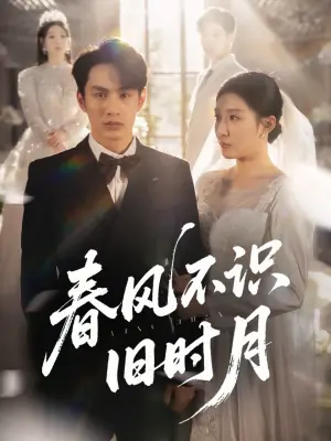春风不识旧时月海报
