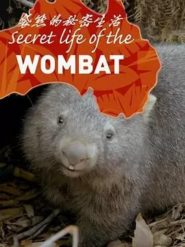 袋熊的秘密生活海报