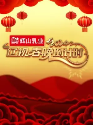 辽视春晚倒计时2024海报