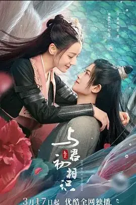 与君初相识海报