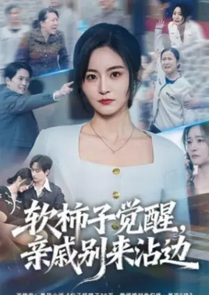 软柿子觉醒,亲戚别来沾边海报