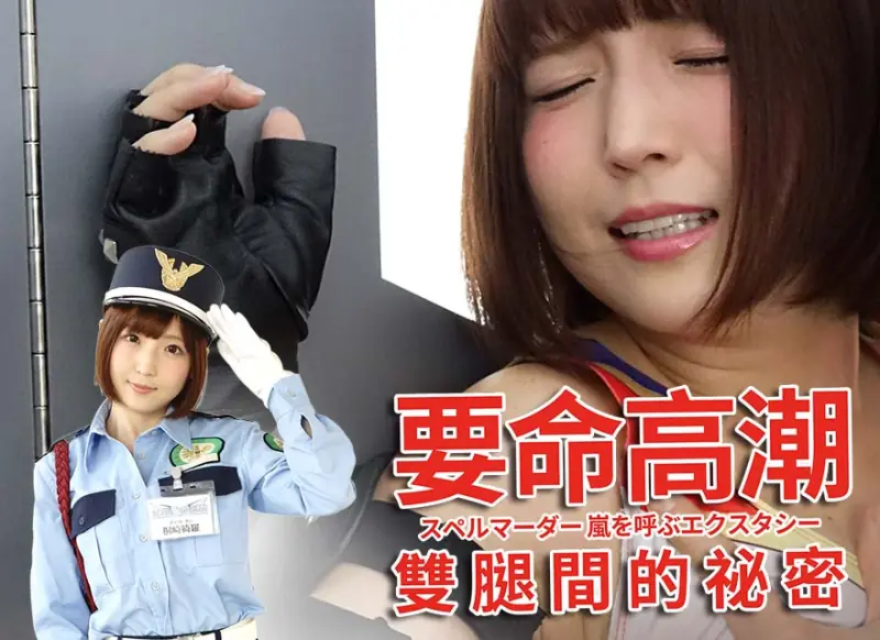 要命高潮:双腿间的秘密海报