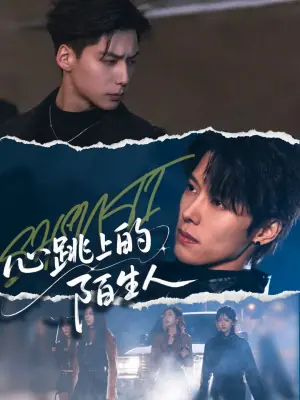 心跳上的陌生人海报