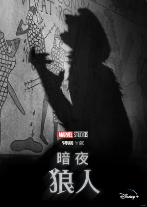 暗夜狼人[影视解说]海报